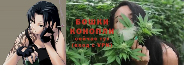 стаф Вязьма