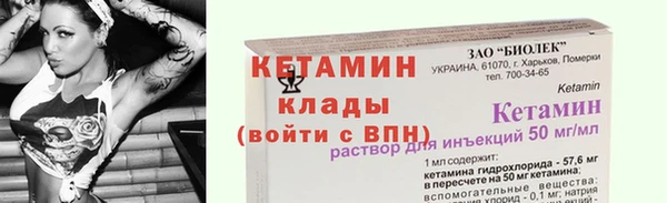 стаф Вязьма