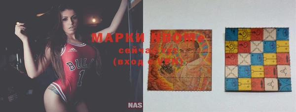 стаф Вязьма