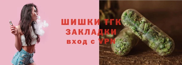 винт Вяземский