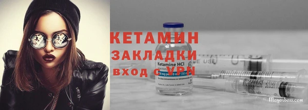 стаф Вязьма