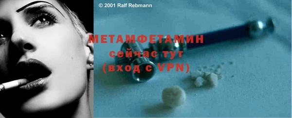 стаф Вязьма