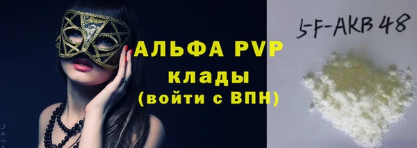 винт Вяземский