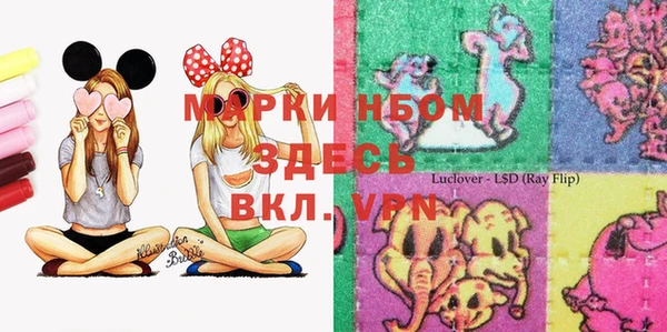 стаф Вязьма