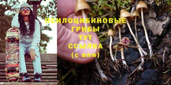 винт Вяземский