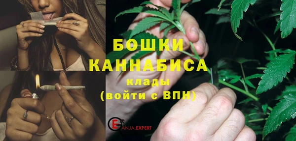 стаф Вязьма