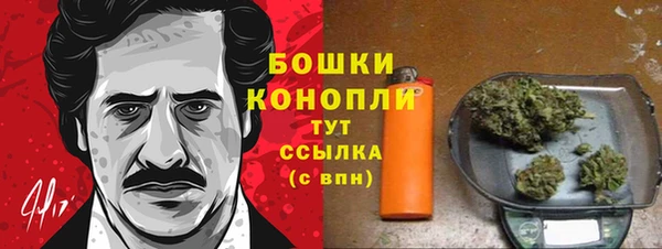 стаф Вязьма
